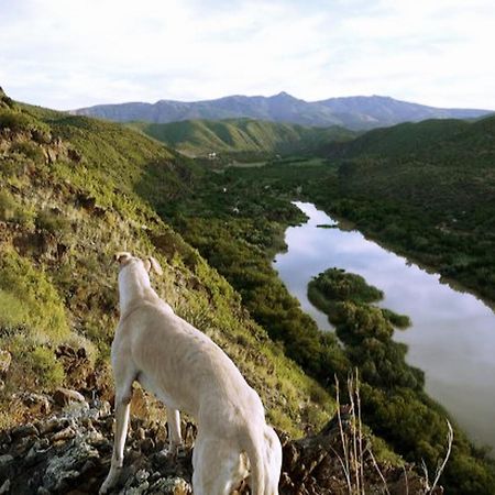 River View Cottages Calitzdorp Exterior foto